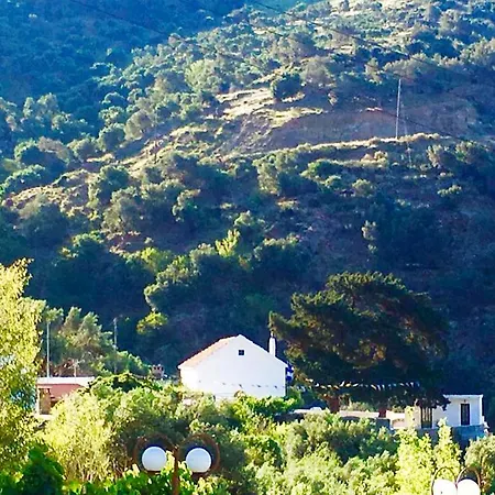 Saint George