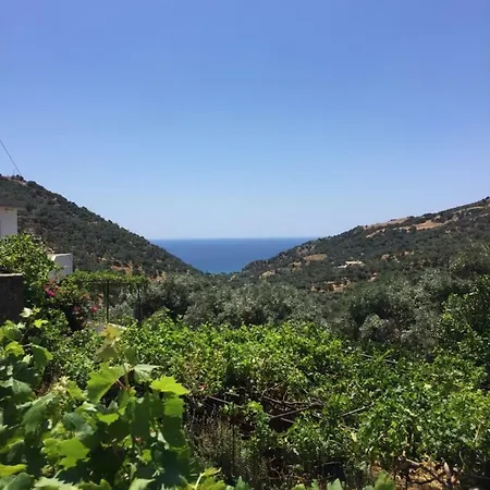 Saint George Guest house *